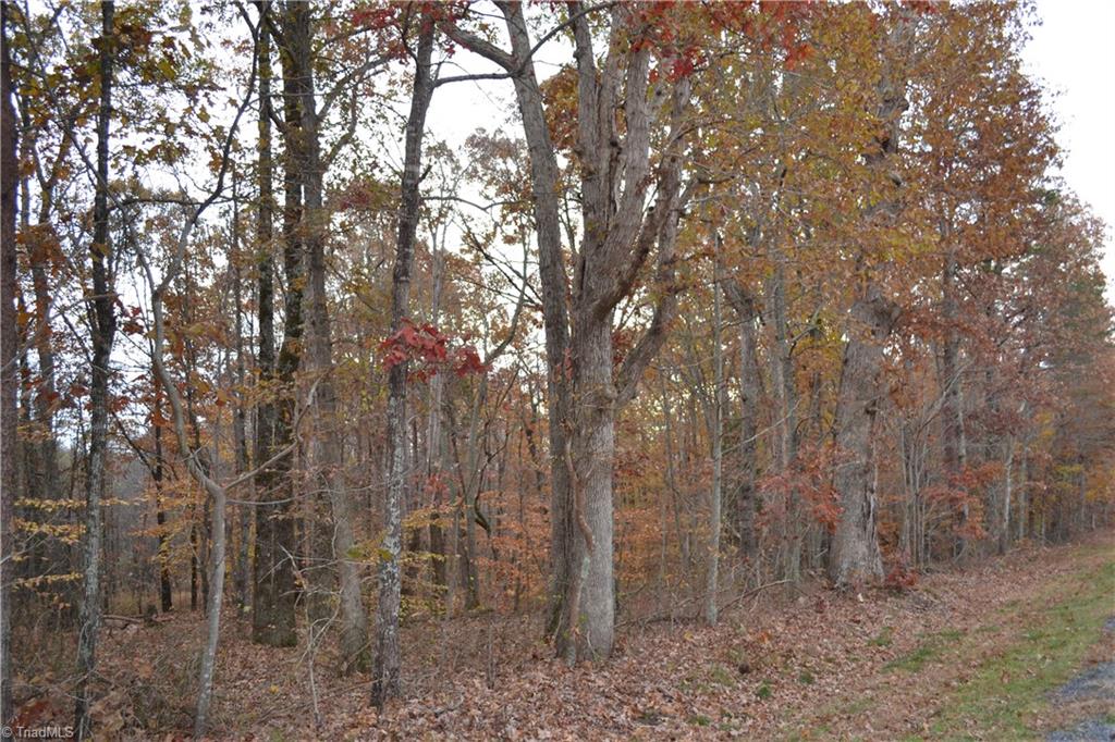 704 East Sandy Ridge East Sandy Ridge, NC 27046 - Photo 1 of 8