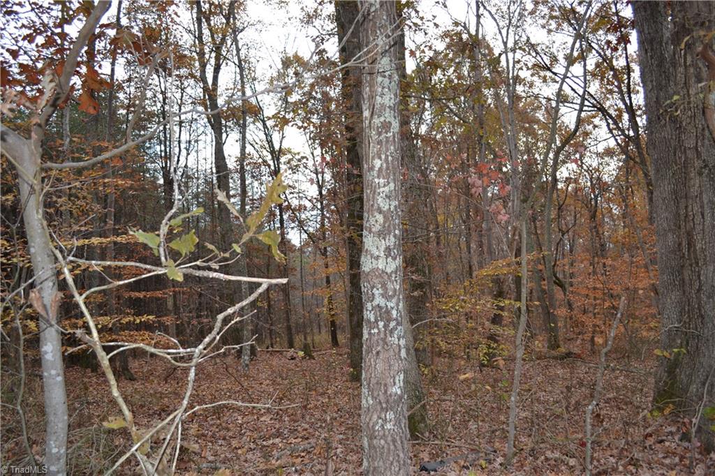 704 East Sandy Ridge East Sandy Ridge, NC 27046 - Photo 2 of 8