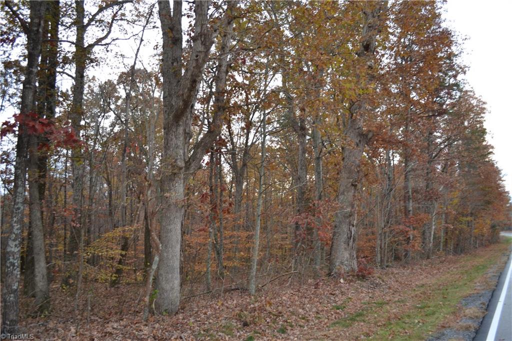704 East Sandy Ridge East Sandy Ridge, NC 27046 - Photo 3 of 8