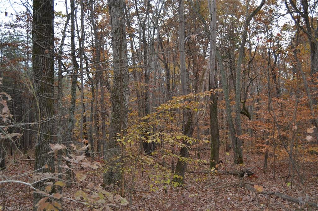 704 East Sandy Ridge East Sandy Ridge, NC 27046 - Photo 5 of 8