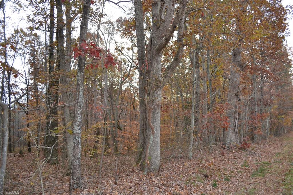704 East Sandy Ridge East Sandy Ridge, NC 27046 - Photo 7 of 8