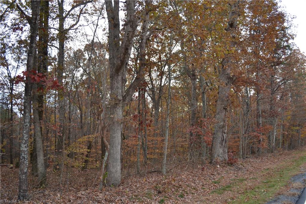 704 East Sandy Ridge East Sandy Ridge, NC 27046 - Photo 8 of 8