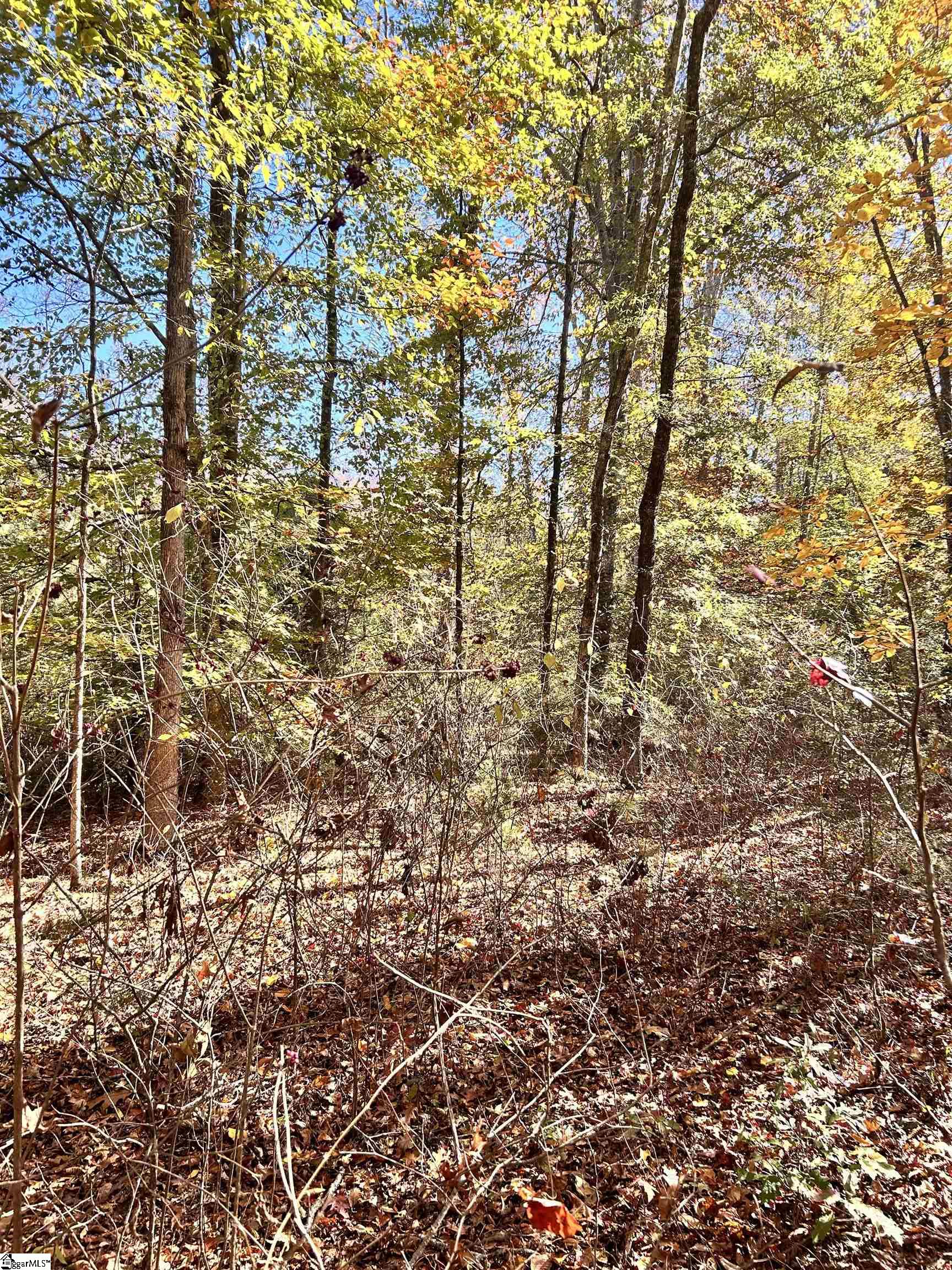 501 Blue Jay Road Hodges, SC 29653 - Photo 9 of 14 Gallery Image 9