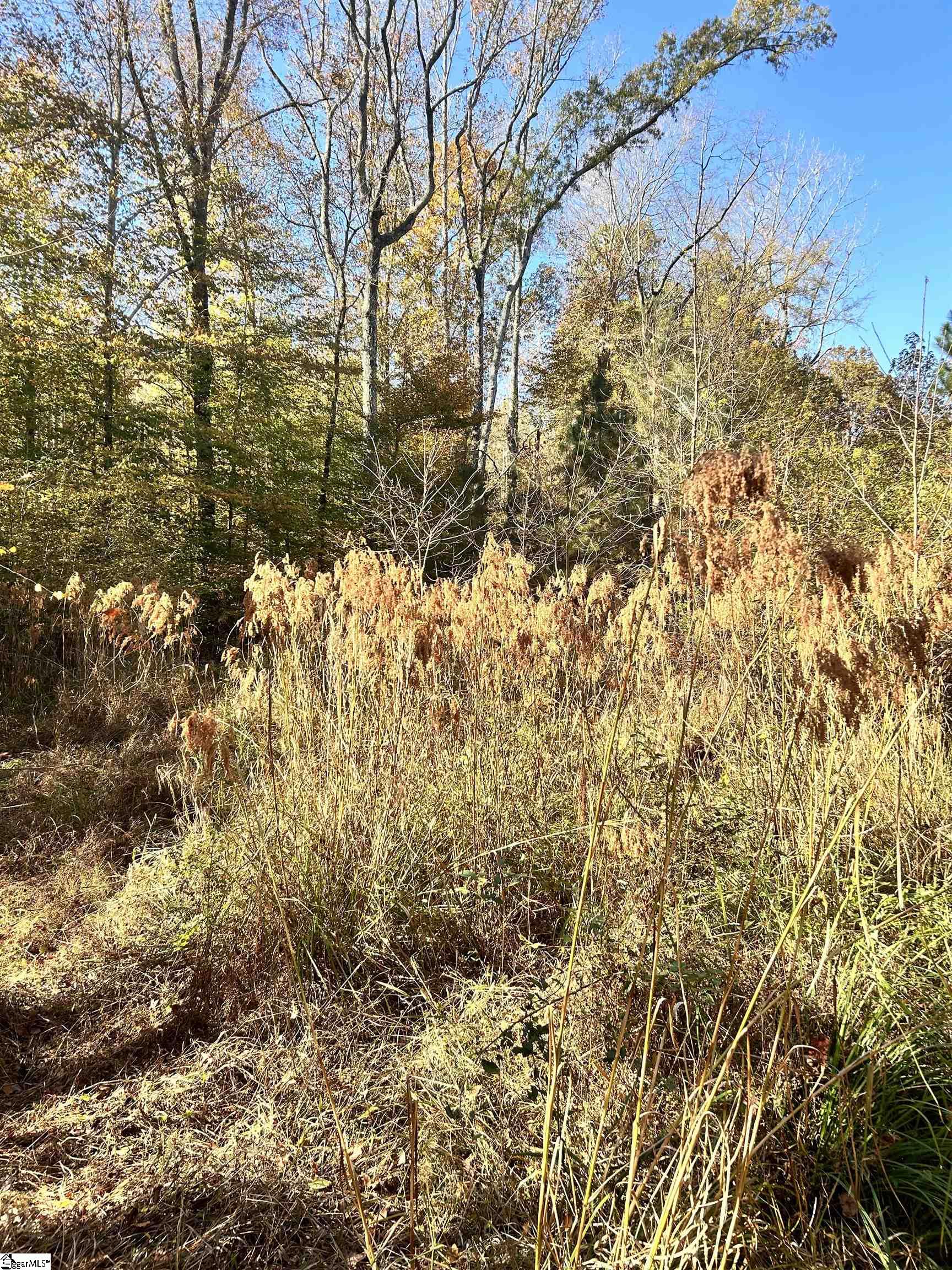 501 Blue Jay Road Hodges, SC 29653 - Photo 10 of 14 Gallery Image 10