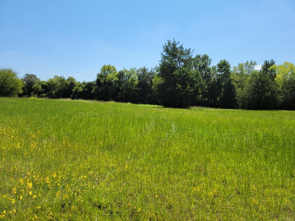 3 Jones Road Eagleville, TN 37060 - Photo 3 of 4 Gallery Image 3