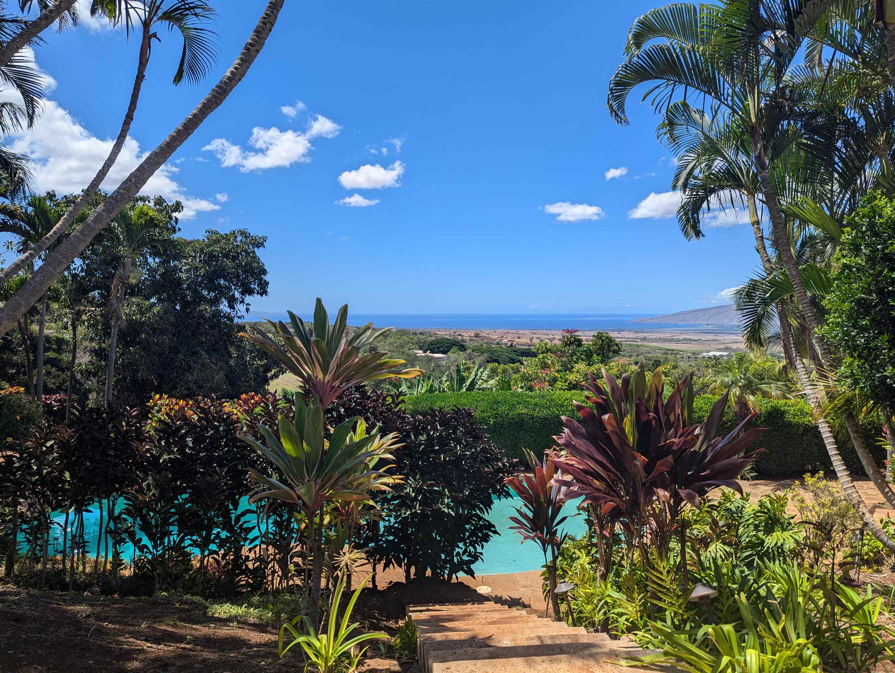3051 Omaopio Road Kula, HI 96790 - Photo 45 of 50 Gallery Image 45