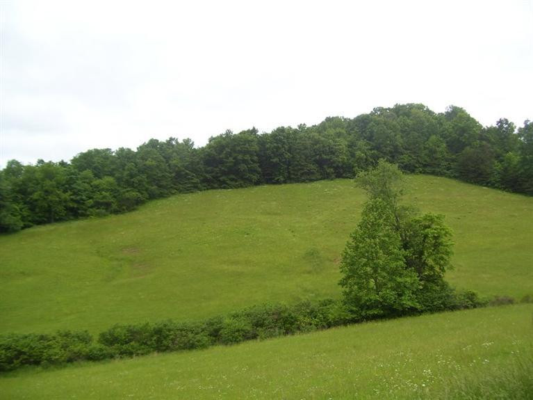 110 Kelly Branch Road London, KY 40741 - Photo 28 of 39 Photo 30