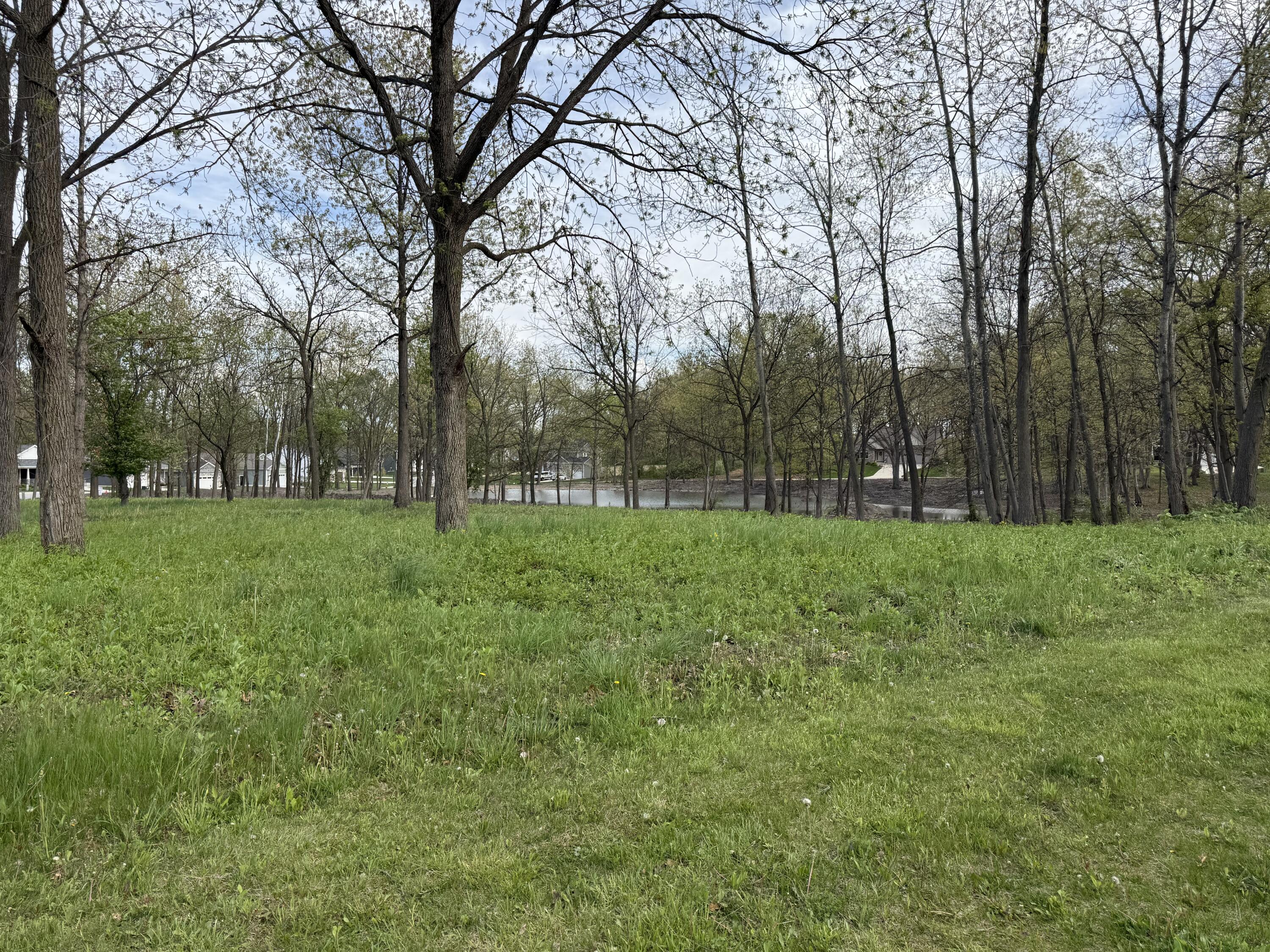 a view of a park with large trees