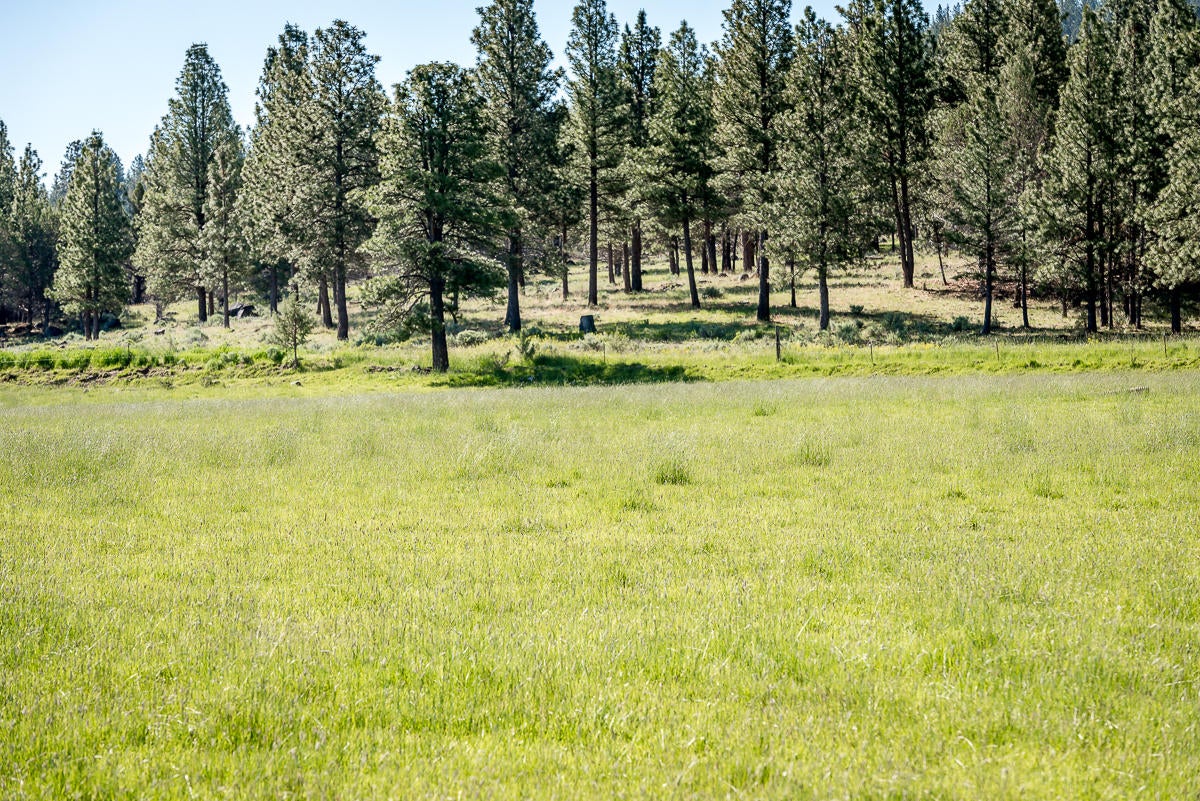 9996 West Langell Valley Road Bonanza, OR 97623 - Photo 40 of 45 9996WLangellValley-BGP-MLS-2351