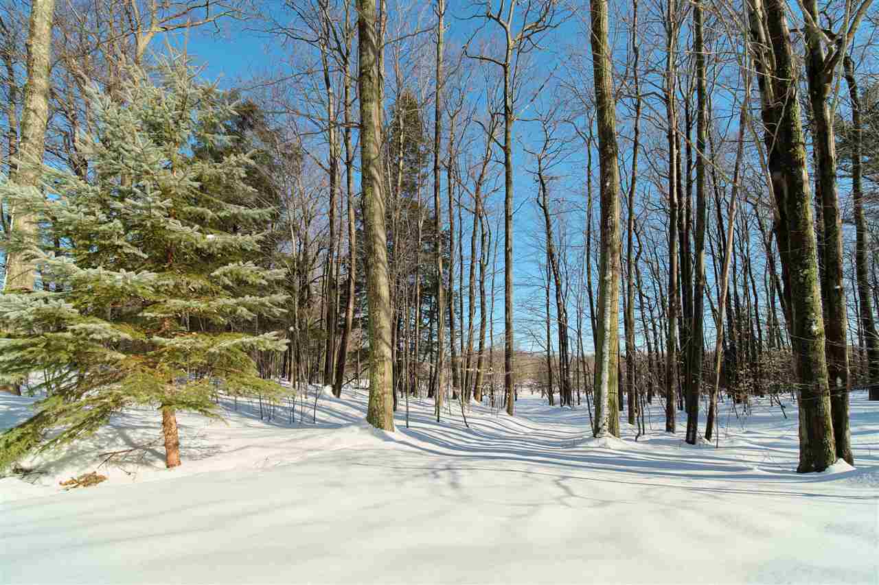9800 Emerald Ridge Onekama, MI 49675 - Photo 5 of 66 1884540-4.JPG
