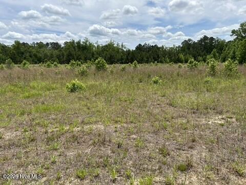 0 Bethesda Church Road Orrum, NC 28369 - Photo 31 of 34 Gallery Image 31