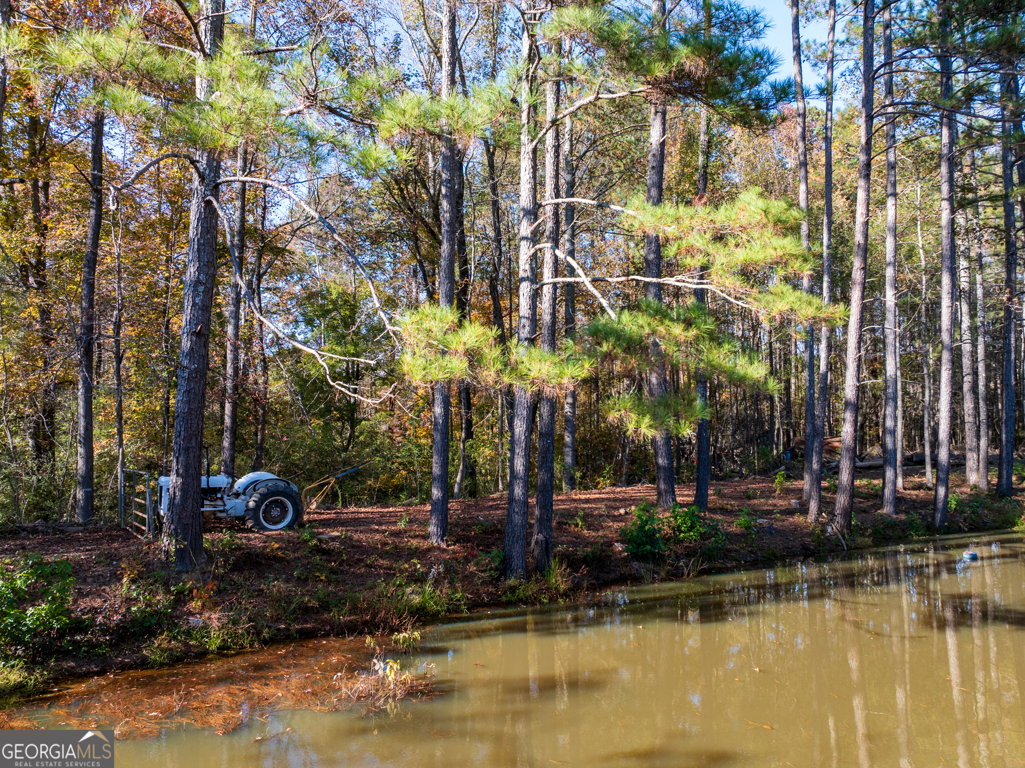 4.18-acres Bailey Creek Road Covington, GA 30016 - Photo 15 of 18