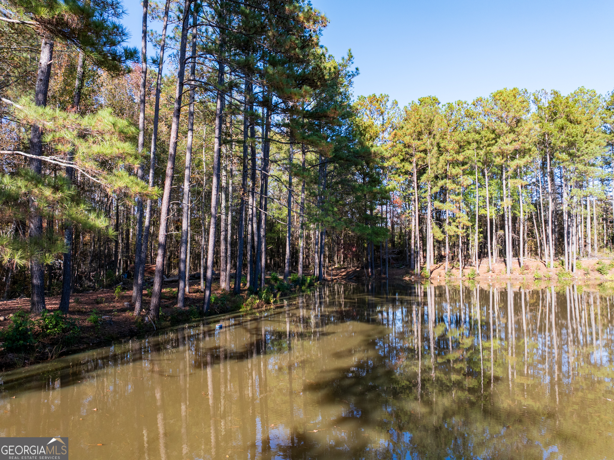 4.18-acres Bailey Creek Road Covington, GA 30016 - Photo 16 of 18