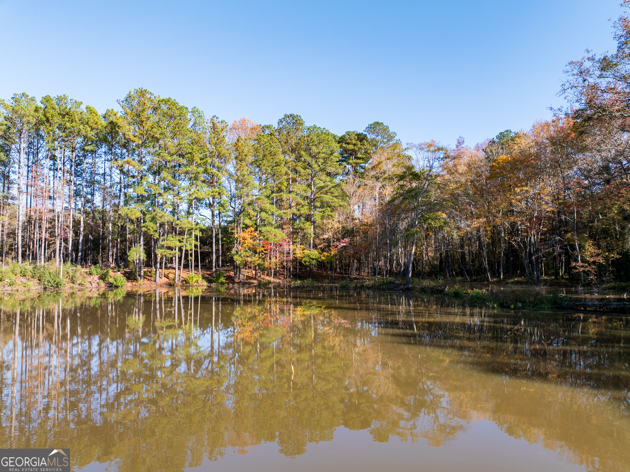 4.18-acres Bailey Creek Road Covington, GA 30016 - Photo 17 of 18