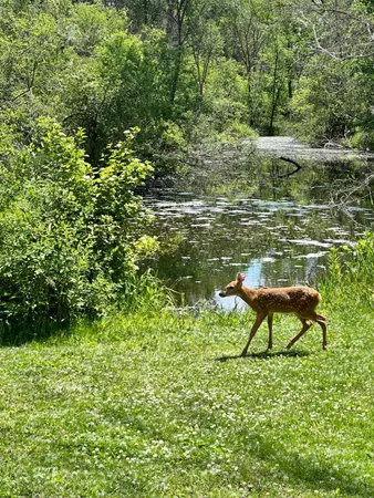 $379,000 | N6282 River Heights Drive, Plymouth, WI 53073