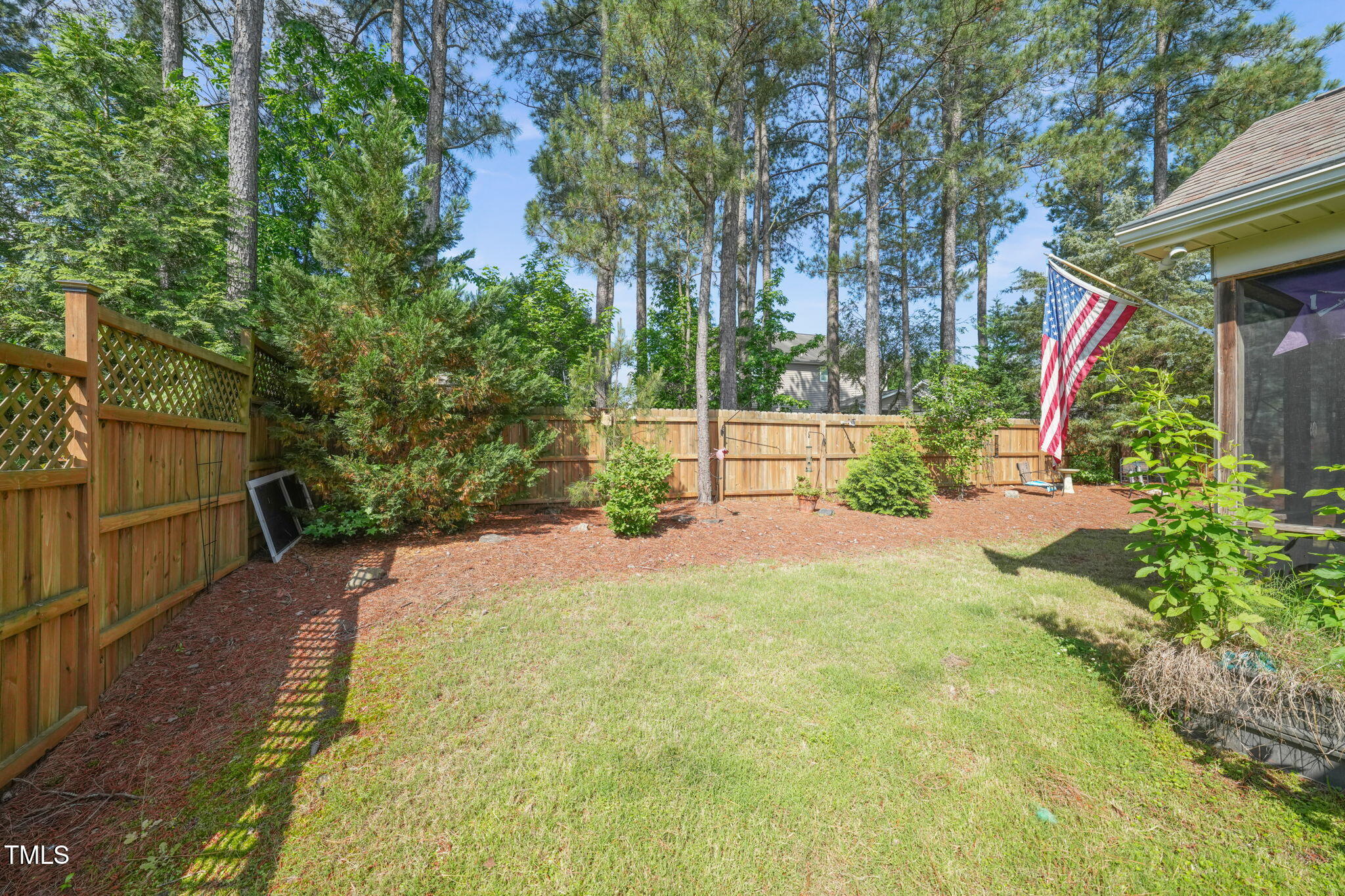 Backyard (2)