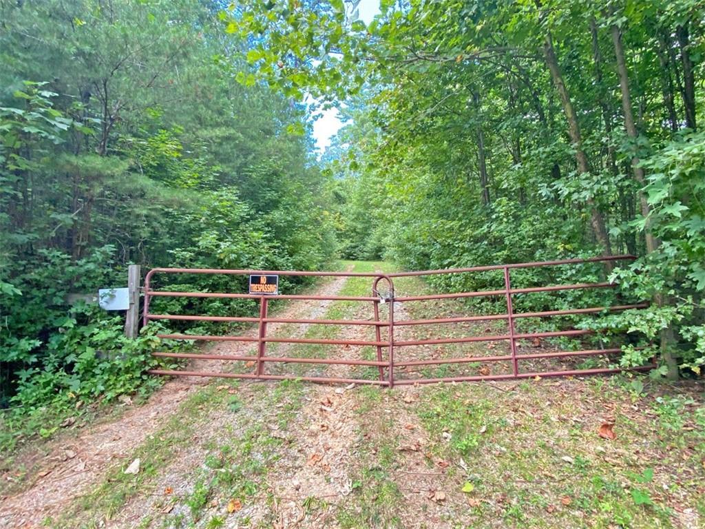 153-ac Whitepath Road Ellijay, GA 30540 - Photo 12 of 13 Gallery Image 12