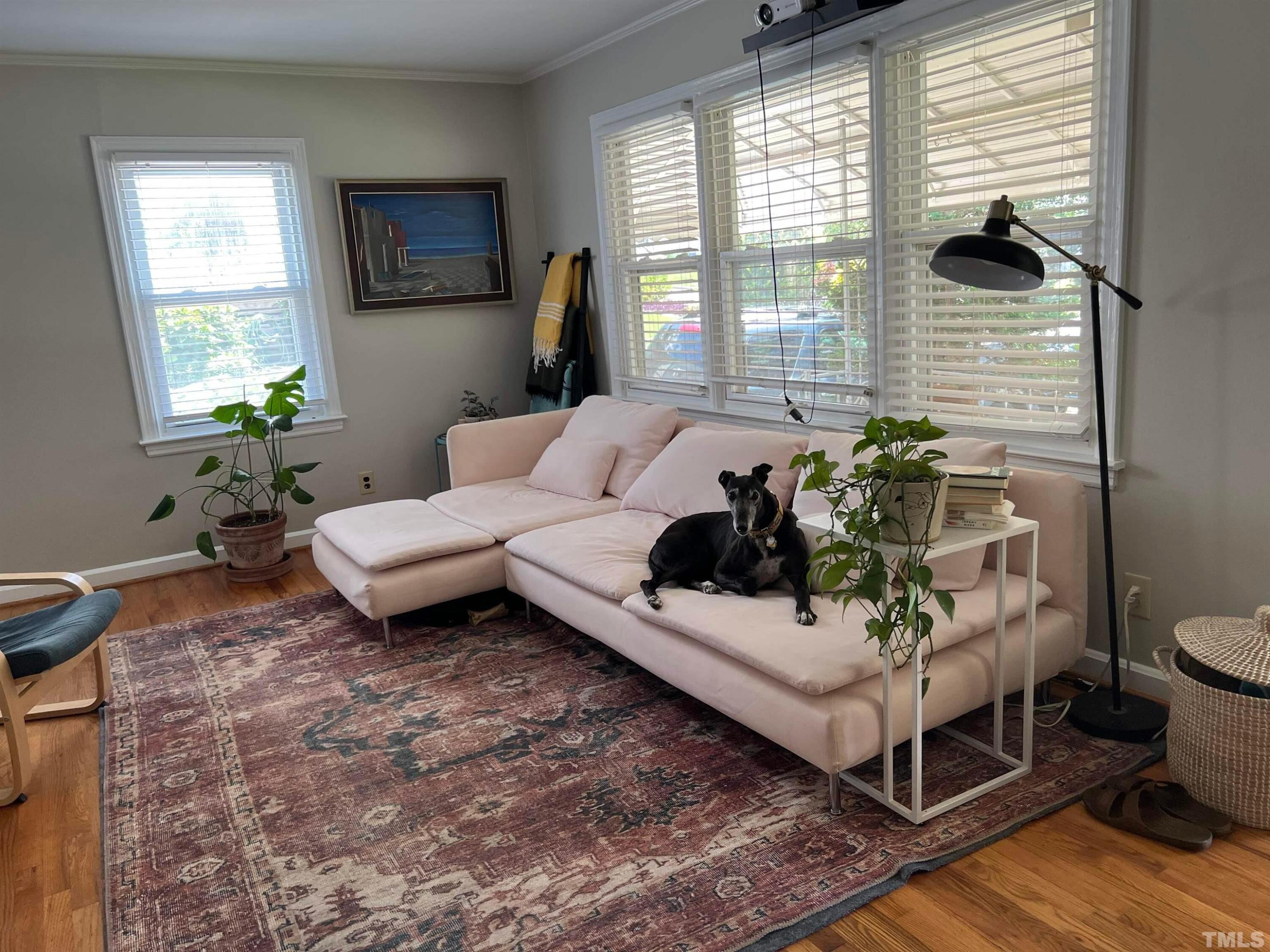 205 Plainview Avenue Raleigh, NC 27604 - Photo 4 of 53 Photo #3