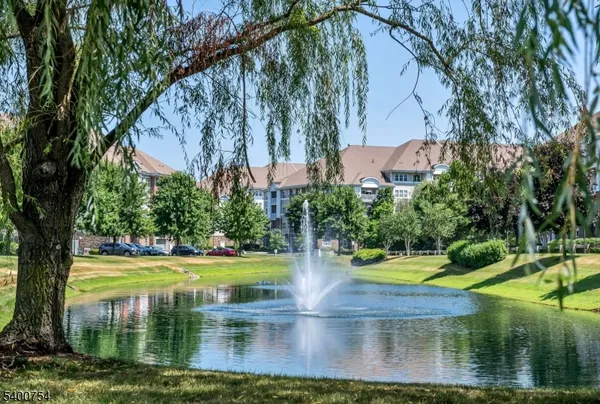 a view of a swimming pool with a yard and large trees