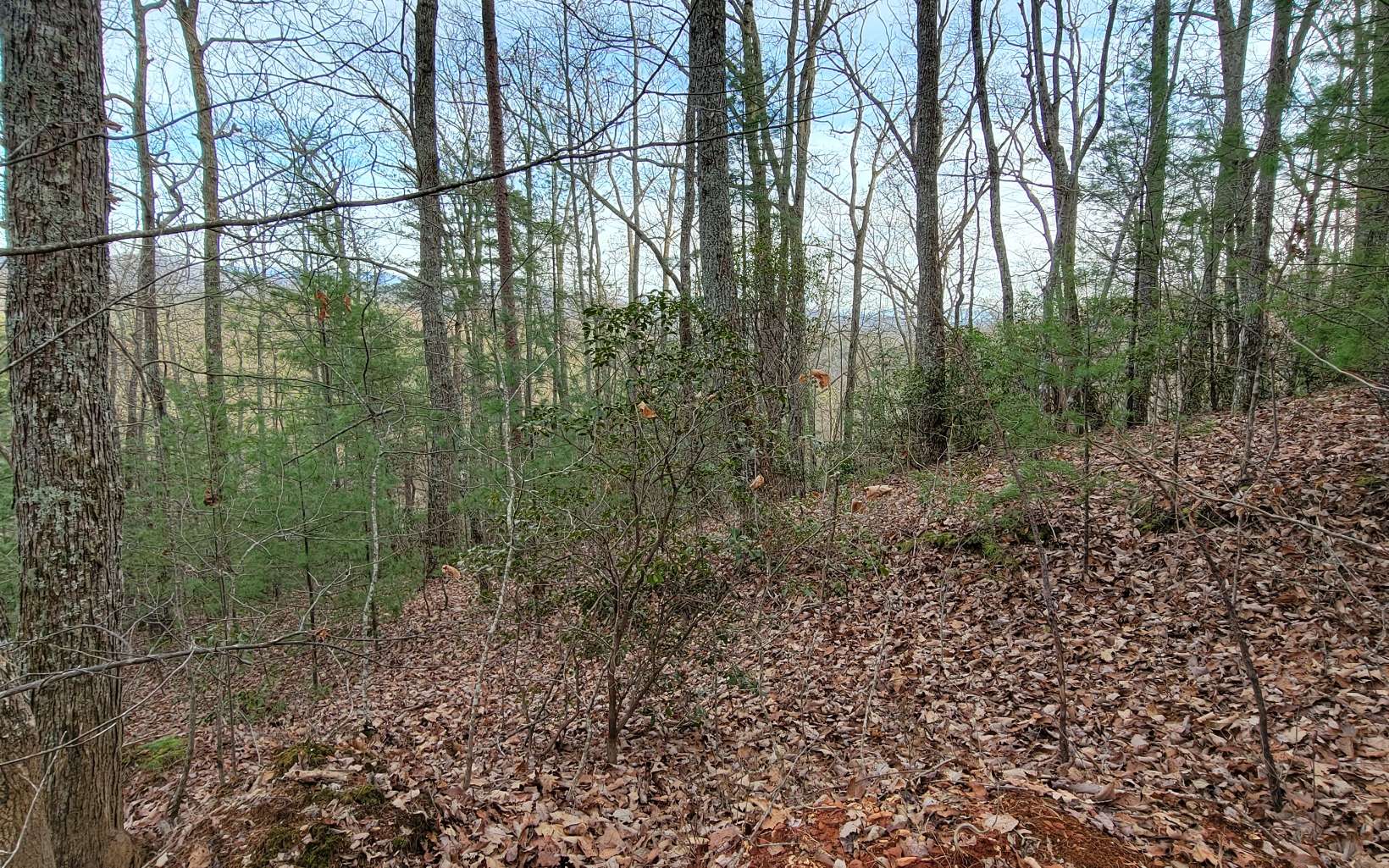 26 Beech Mountain Road Murphy, NC 28906 - Photo 4 of 8 Additional View