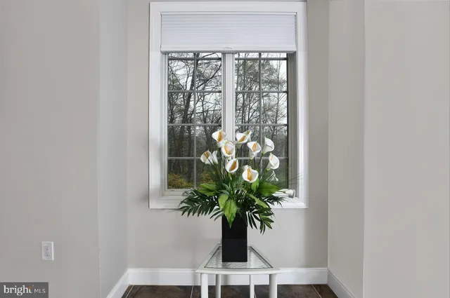a potted plant in front of a door