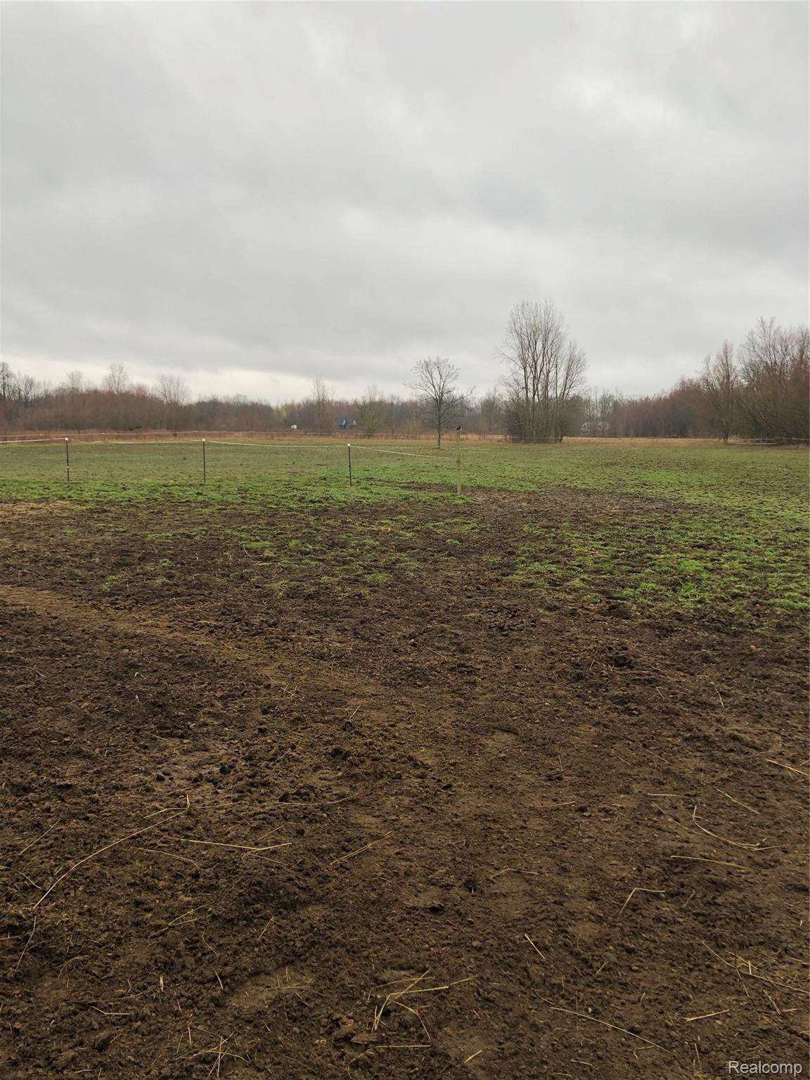 BackPasture.jpg