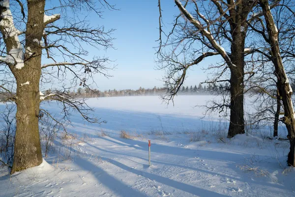 $399,900 | 17231 330 Avenue, Frazee, MN 56544