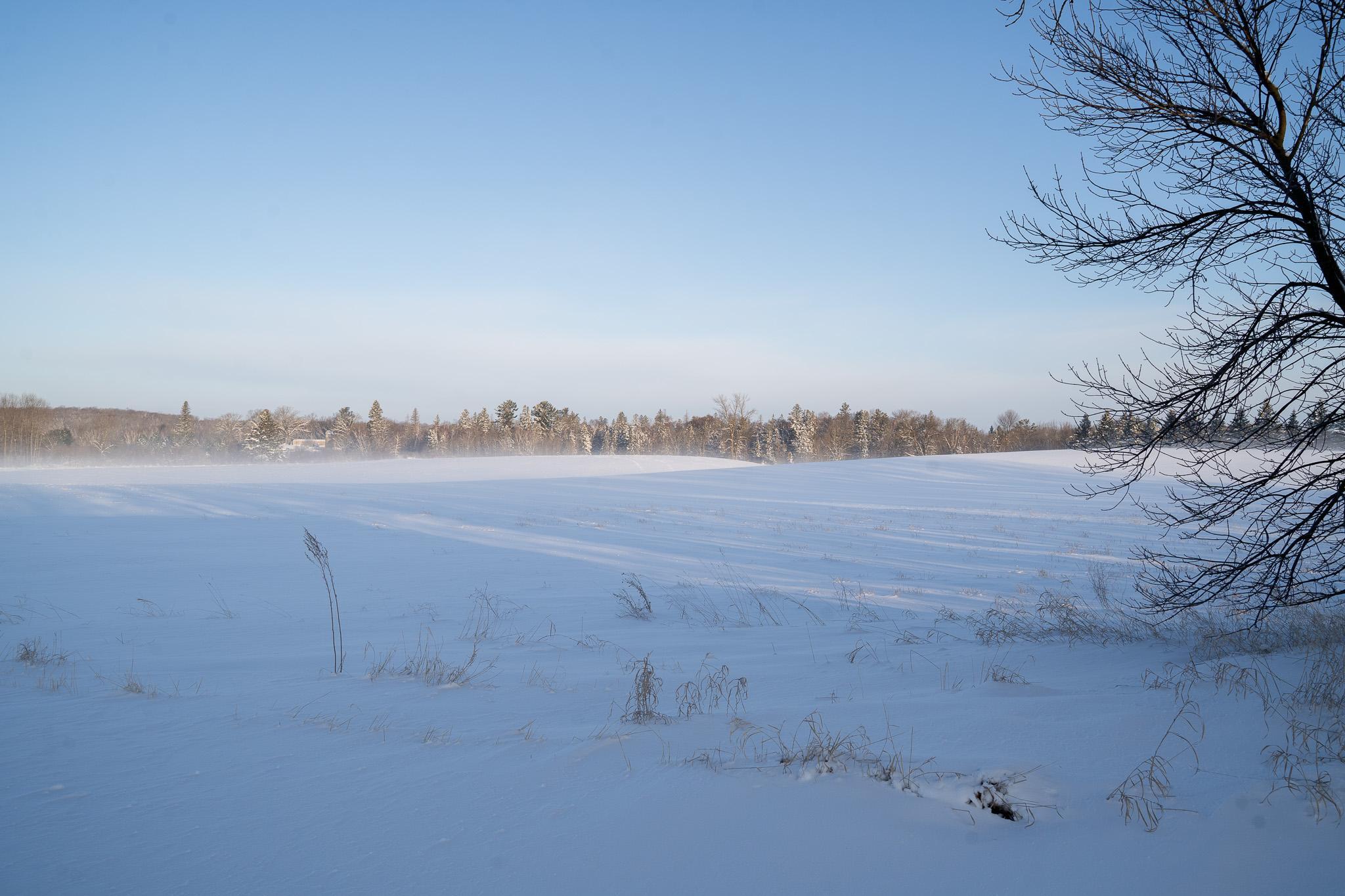 17231 330 Avenue Frazee, MN 56544 - Photo 40 of 44