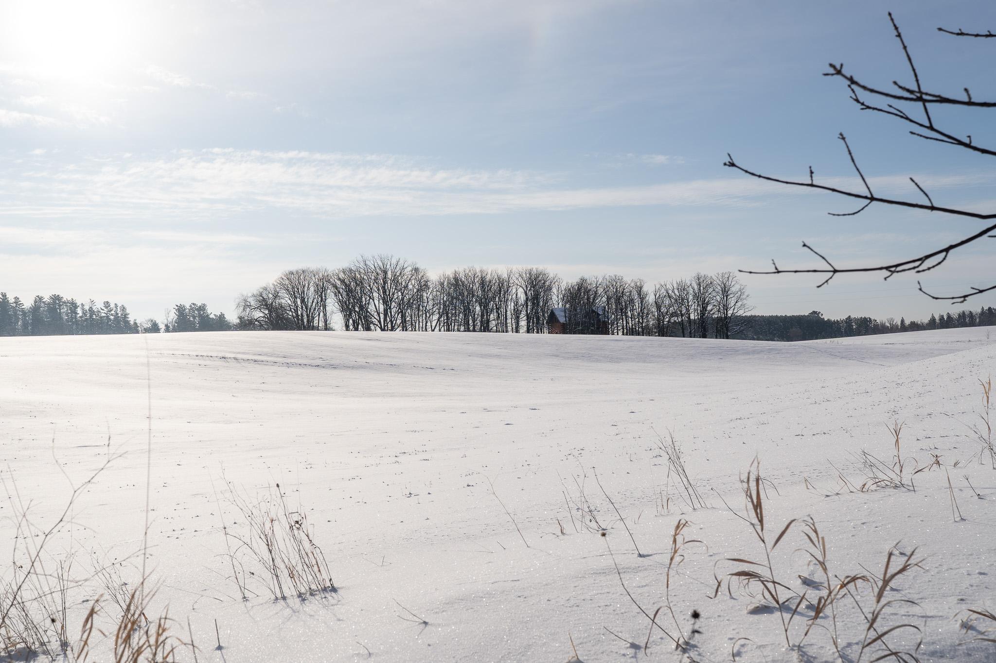 17231 330 Avenue Frazee, MN 56544 - Photo 41 of 44