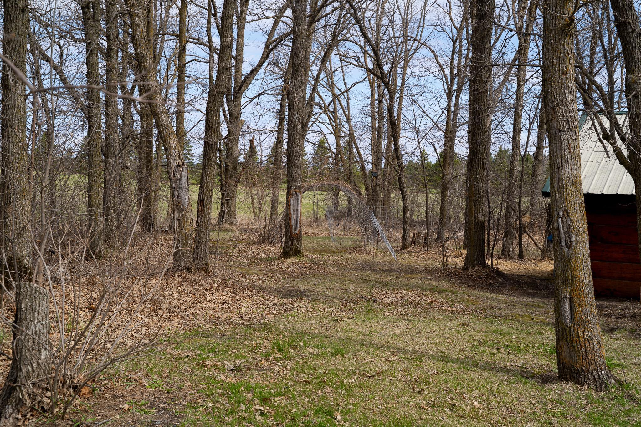 17231 330 Avenue Frazee, MN 56544 - Photo 45 of 55