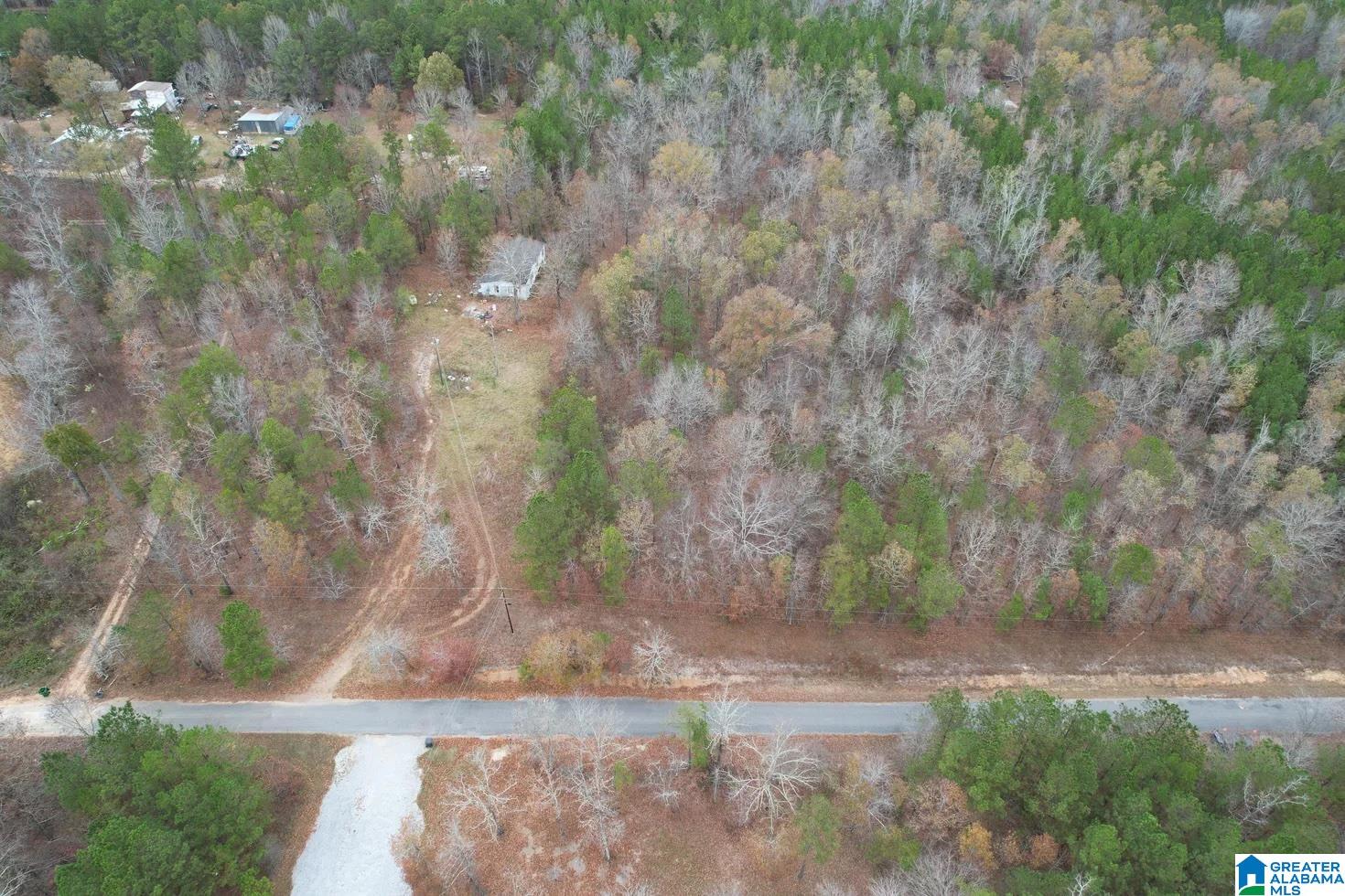 393 Siler Road Piedmont, AL 36272 - Photo 3 of 14