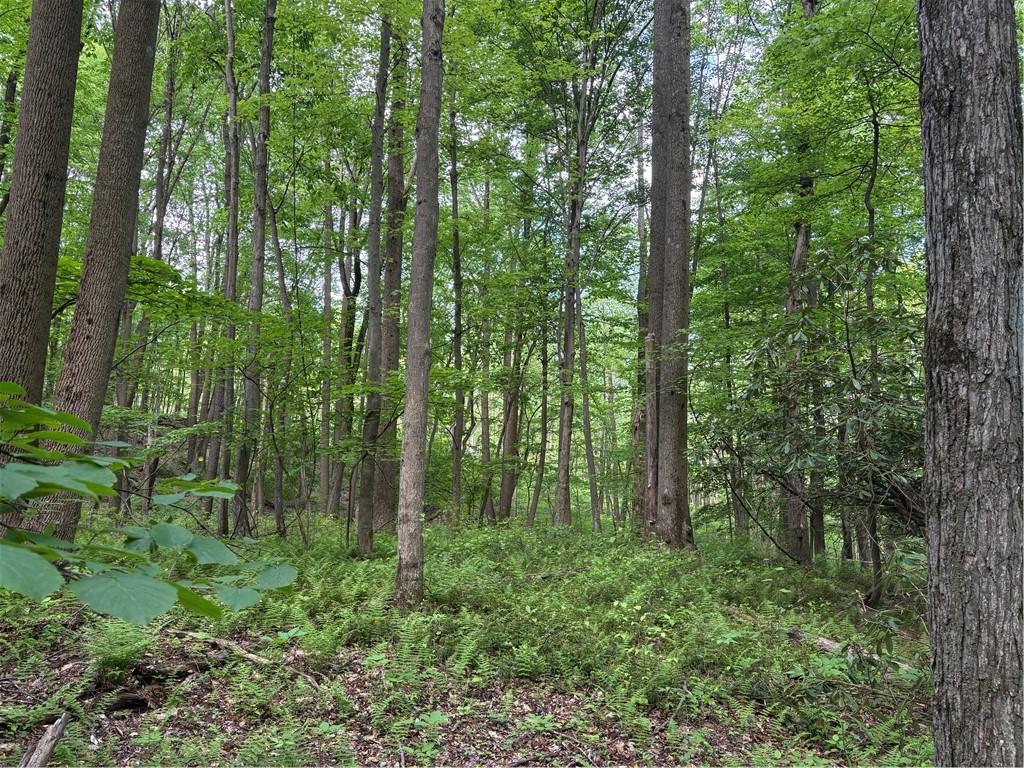 Lot 1 Cottonwood Road Acme, PA 15610 - Photo 10 of 25