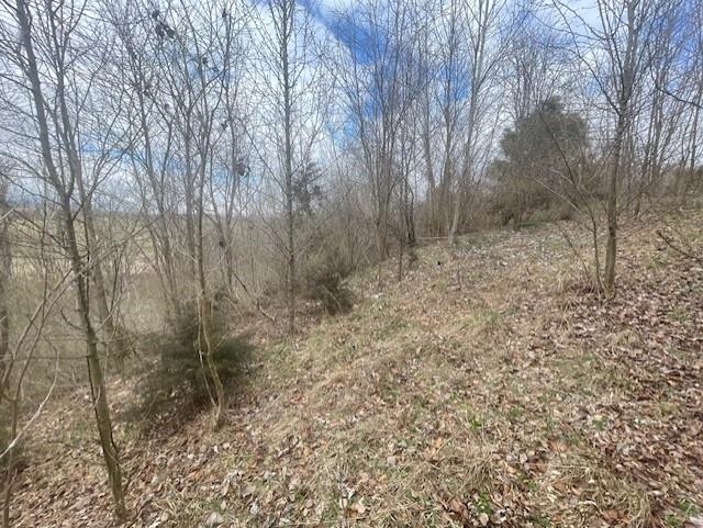 0 Long Meadow Road Fishersville, VA 22939 - Photo 4 of 12
