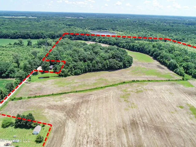 $245,700 | 45 Highway 45, Rienzi, MS 38865