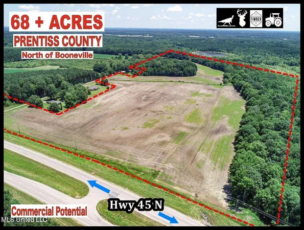 $224,000 | 45 Highway 45, Rienzi, MS 38865