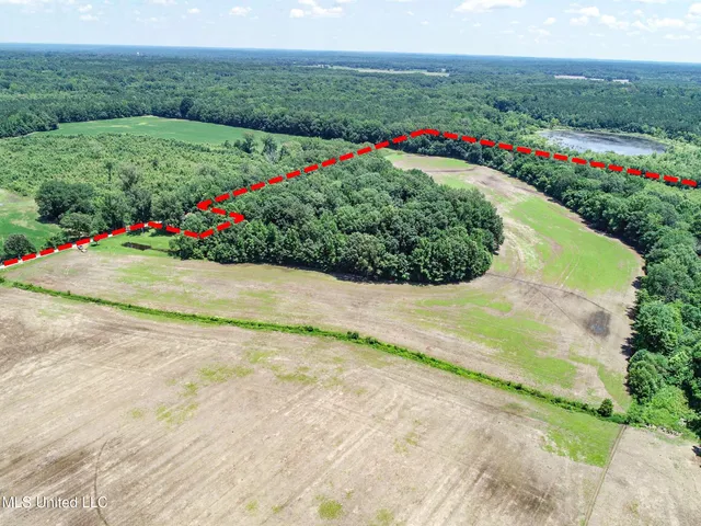 $245,700 | 45 Highway 45, Rienzi, MS 38865