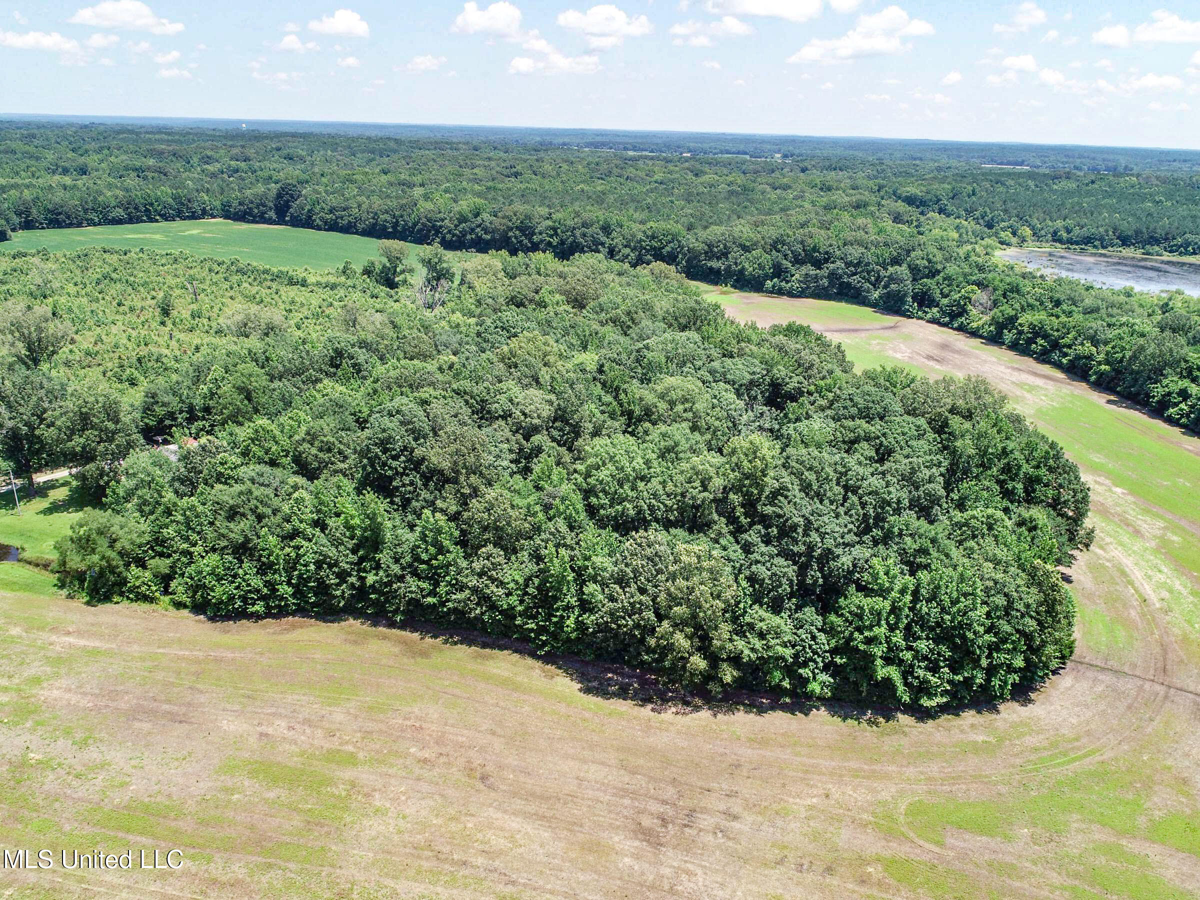 45 Highway 45 Rienzi, MS 38865 - Photo 23 of 67 3tmsnprts24