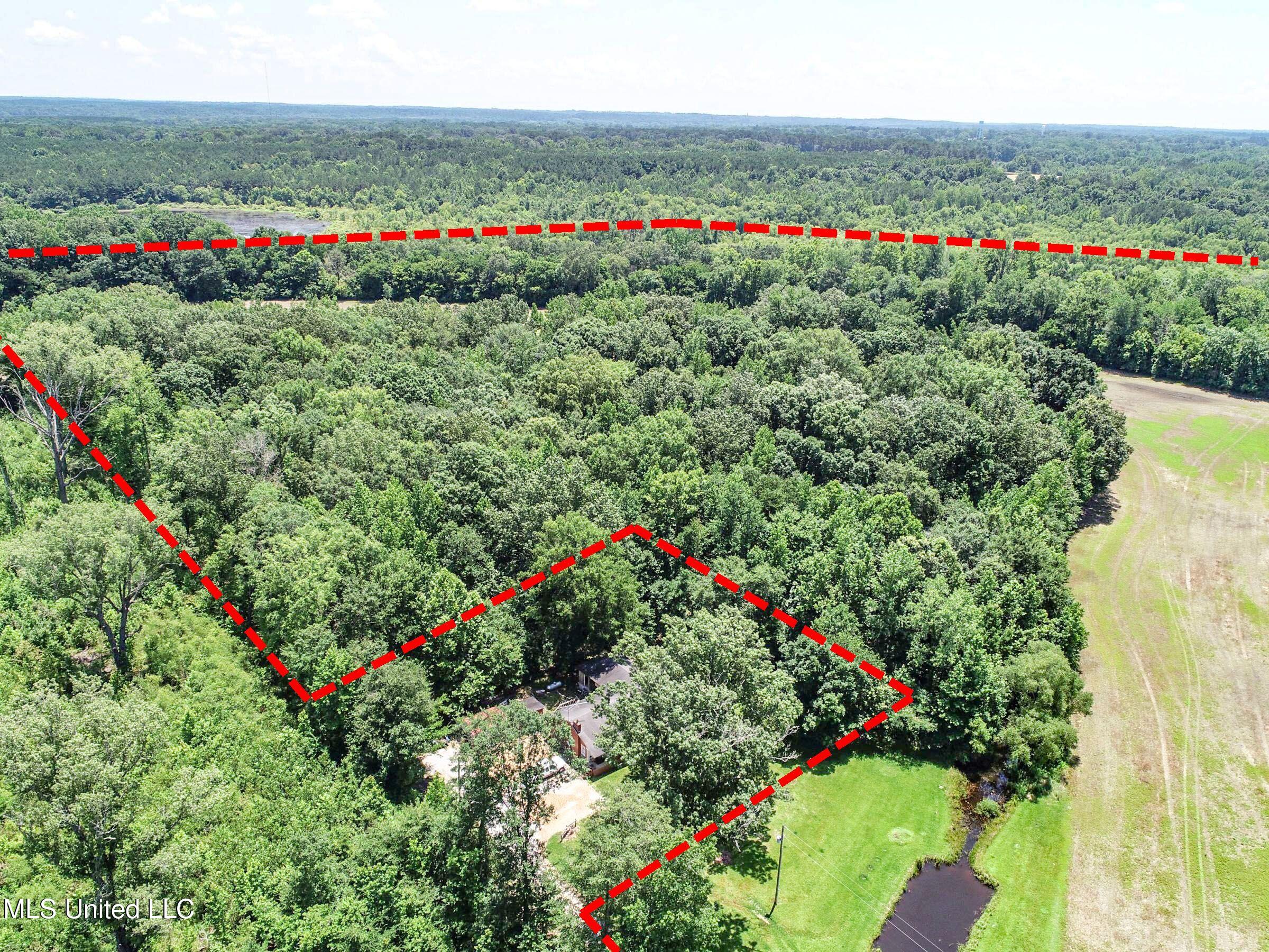 45 Highway 45 Rienzi, MS 38865 - Photo 24 of 67 3tmsnprts25b