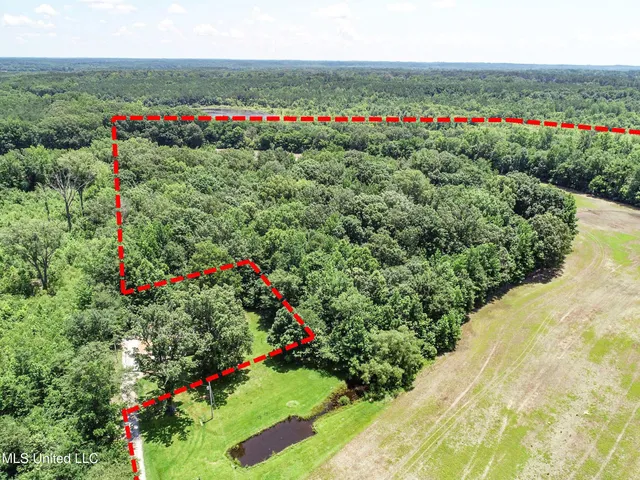 $245,700 | 45 Highway 45, Rienzi, MS 38865