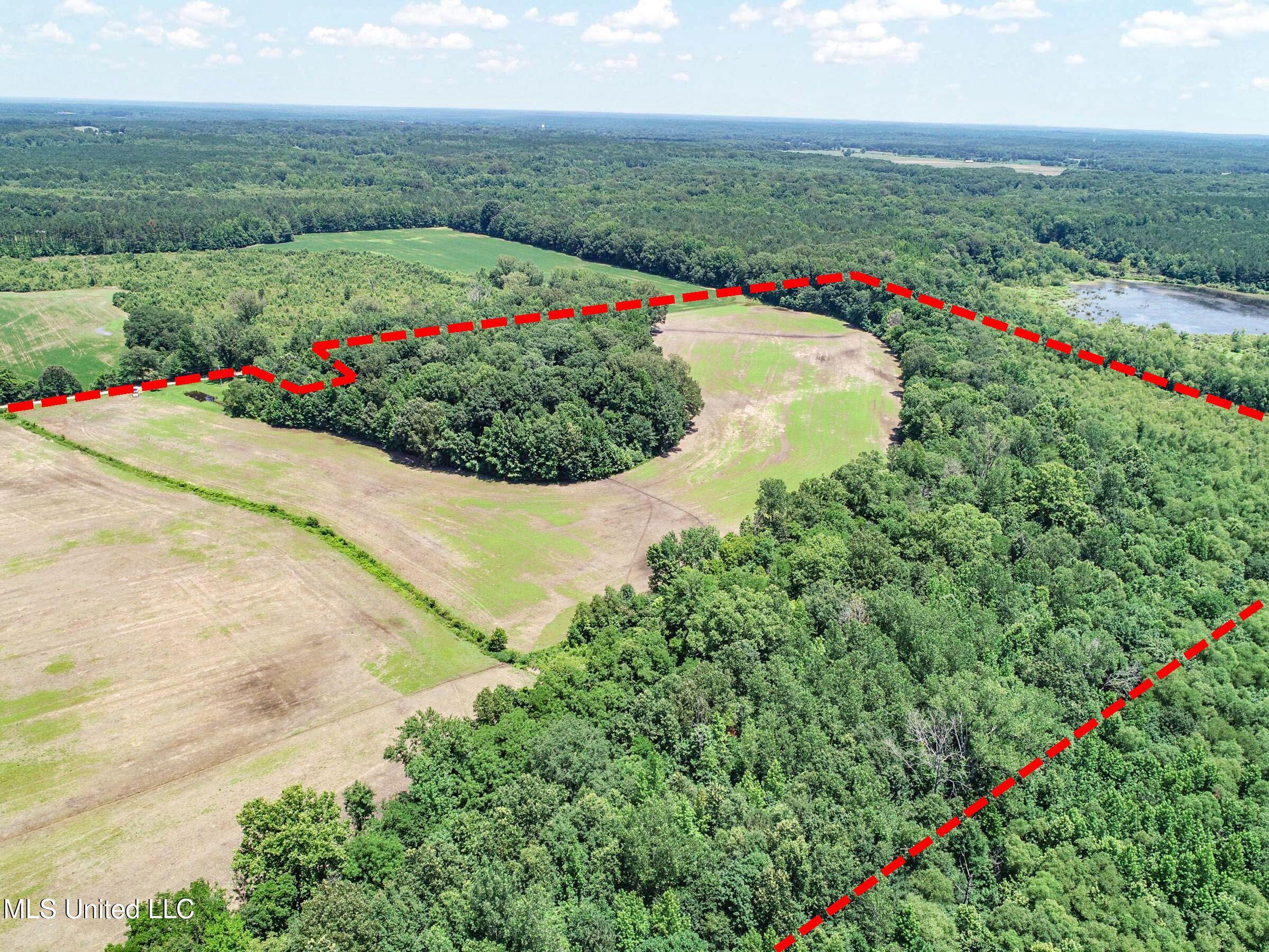 45 Highway 45 Rienzi, MS 38865 - Photo 26 of 67 3tmsnprts27b