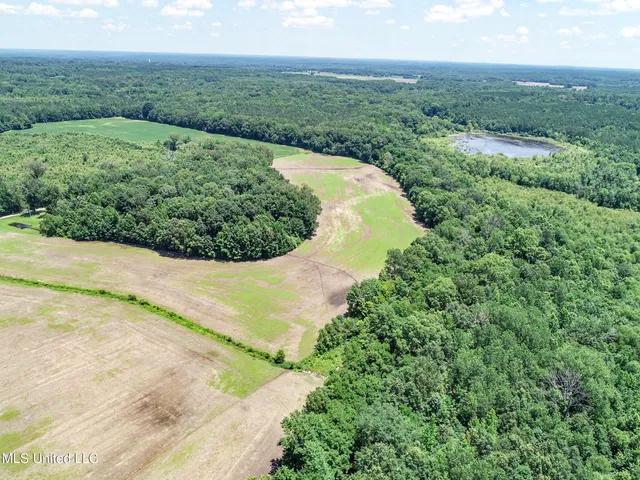 $245,700 | 45 Highway 45, Rienzi, MS 38865
