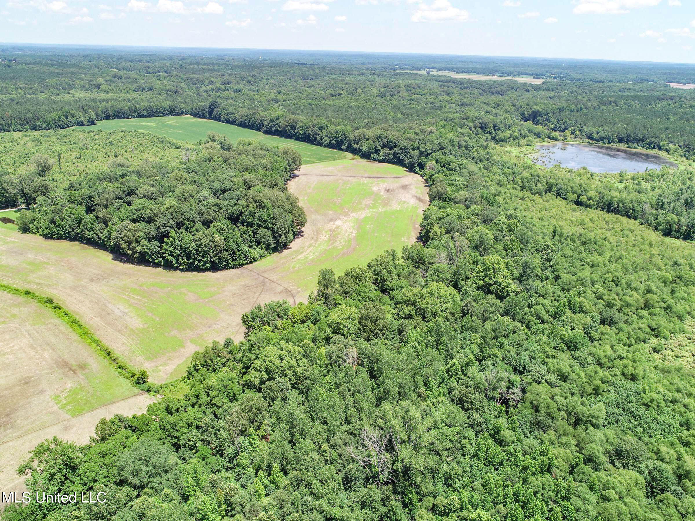 45 Highway 45 Rienzi, MS 38865 - Photo 28 of 67 3tmsnprts29