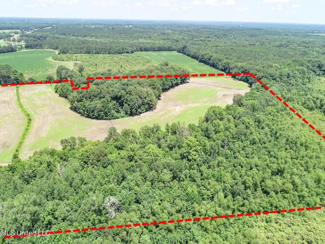 $245,700 | 45 Highway 45, Rienzi, MS 38865