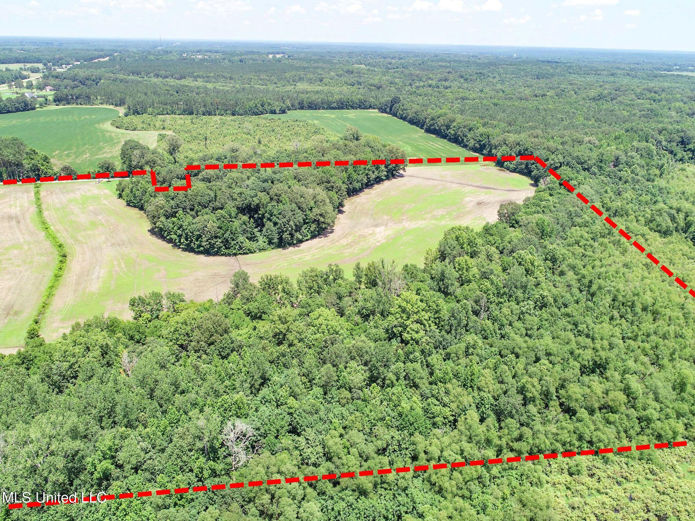 45 Highway 45 Rienzi, MS 38865 - Photo 29 of 67 3tmsnprts30b