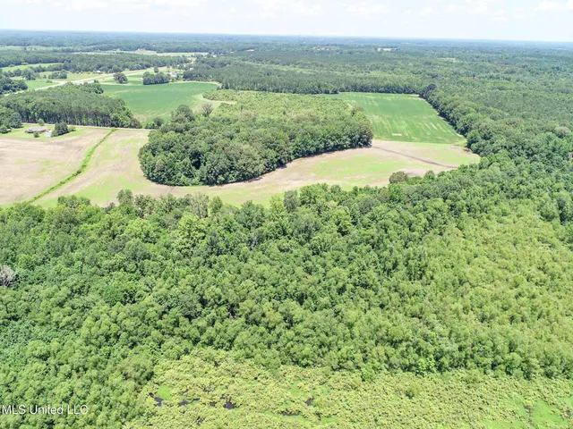 $245,700 | 45 Highway 45, Rienzi, MS 38865