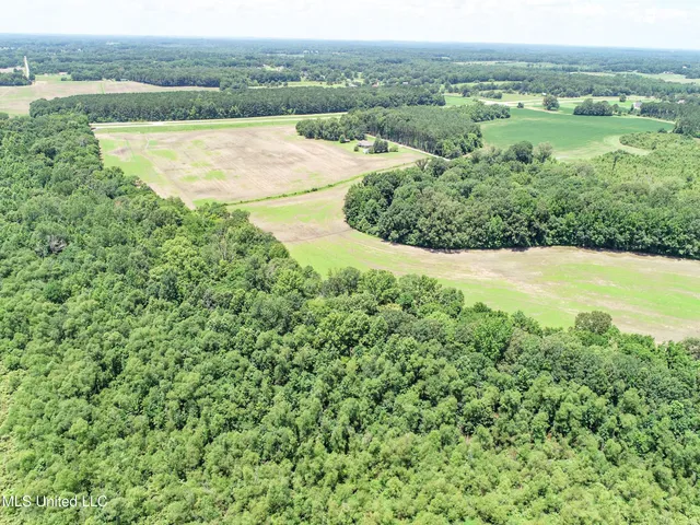 $245,700 | 45 Highway 45, Rienzi, MS 38865