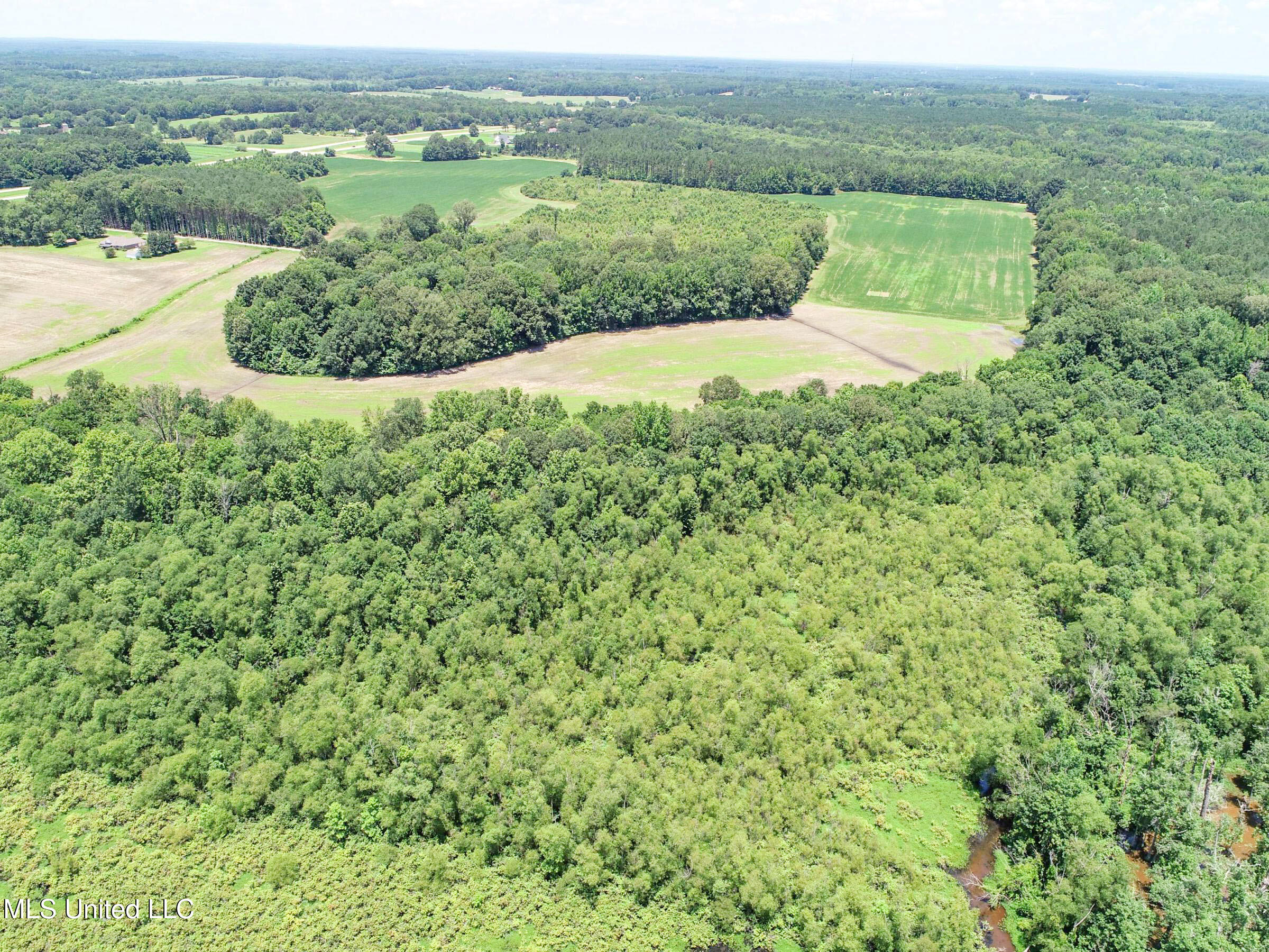 45 Highway 45 Rienzi, MS 38865 - Photo 31 of 67 3tmsnprts32