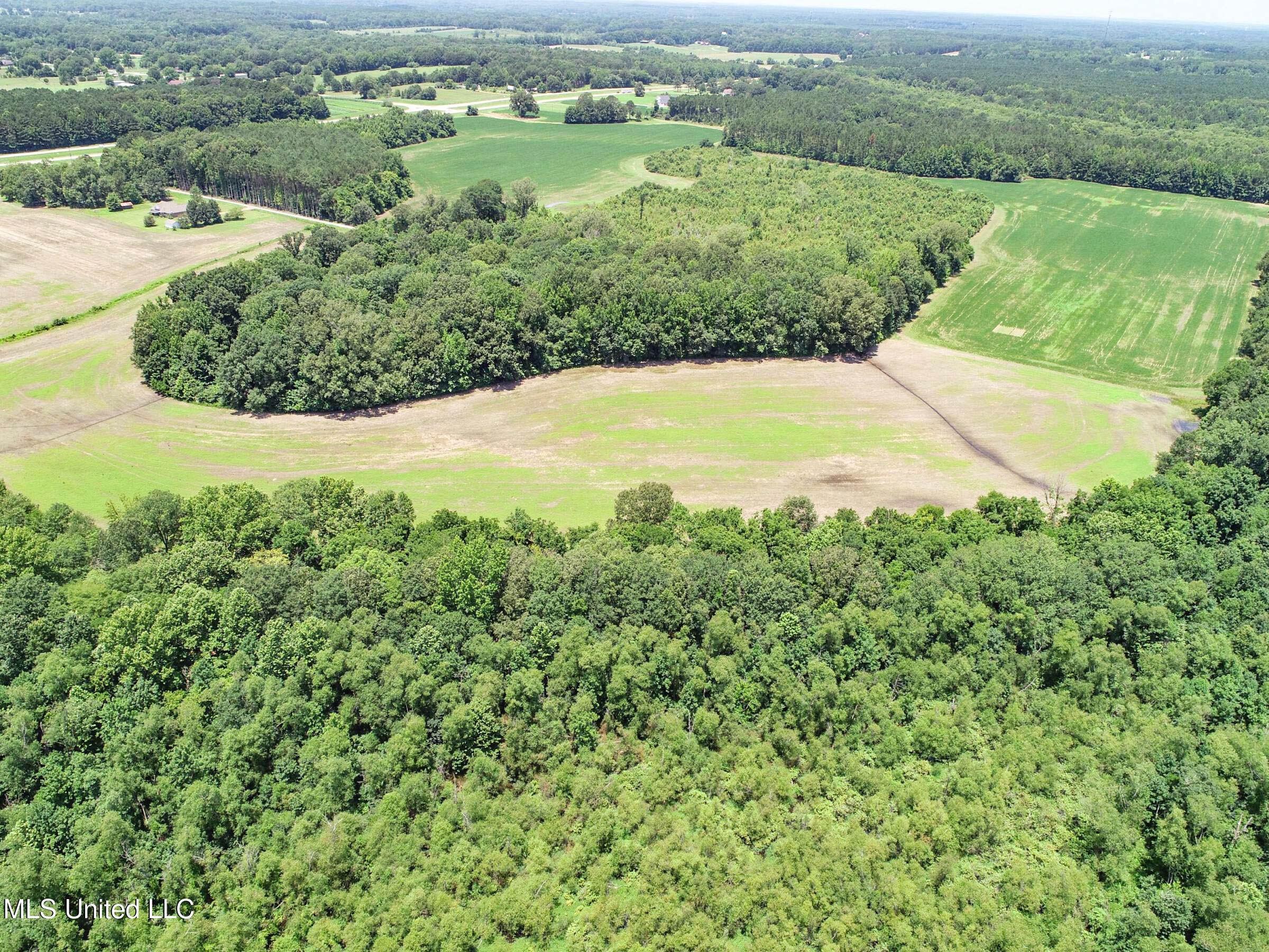 45 Highway 45 Rienzi, MS 38865 - Photo 33 of 67 3tmsnprts34