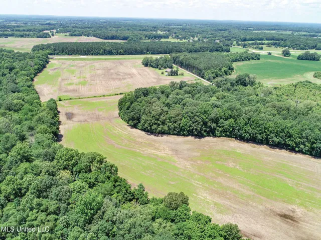 $245,700 | 45 Highway 45, Rienzi, MS 38865