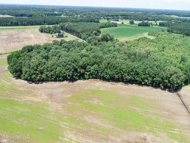 $245,700 | 45 Highway 45, Rienzi, MS 38865